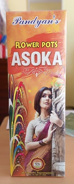 Flower Pots Ashoka (10 Pcs)