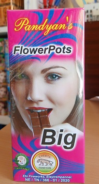 Flower Pots Big (10 Pcs)