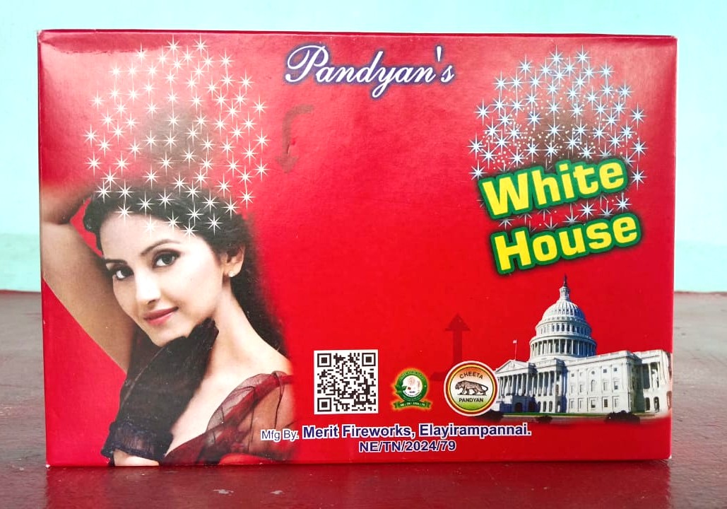White House (5 pcs)